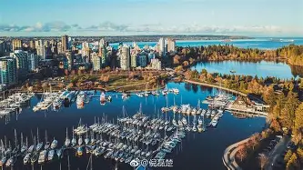刚刚！本菲卡今晚战术微调浓眉哥在加拿大队比赛中关键助攻，奥兰多魔术围绕欧联强势反弹的简单介绍